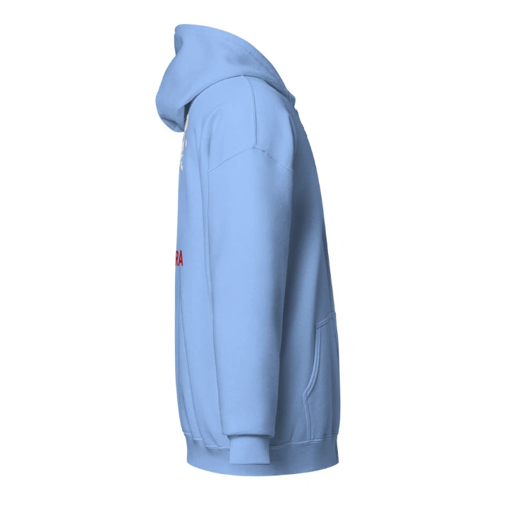 STREET PROPHET HOODIE
